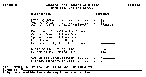 CAO Application Work File Options