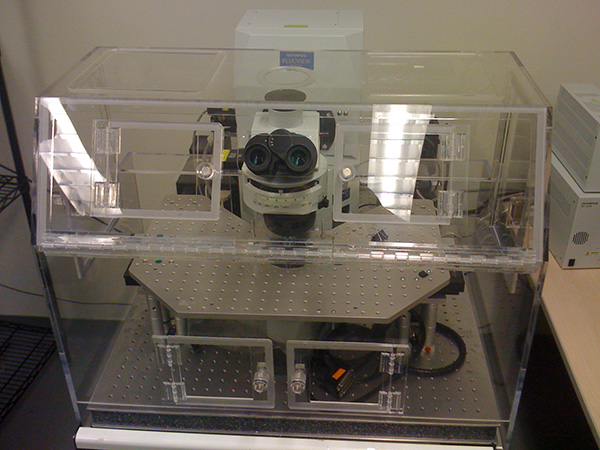 microscope cover