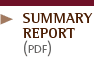 Summary Report (PDF)