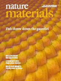 Nature Materials Cover