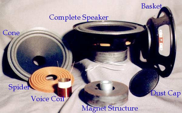 Speaker Parts