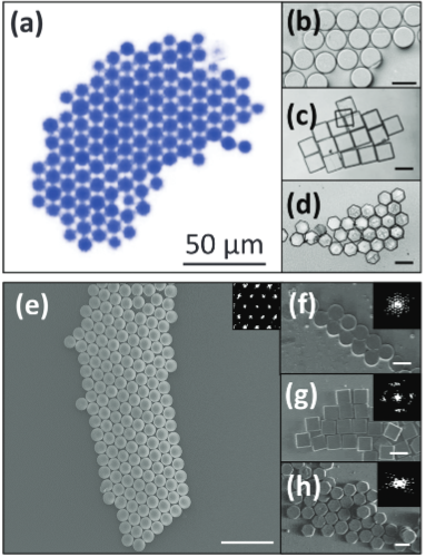 Crystallites formed in acoustic fields