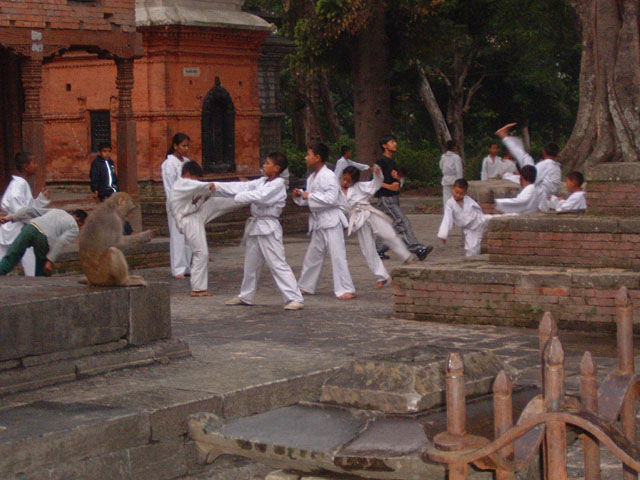 KarateTempleAndMonkey