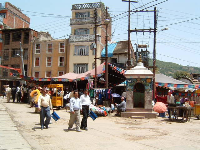 TreeMarryingCeremony1