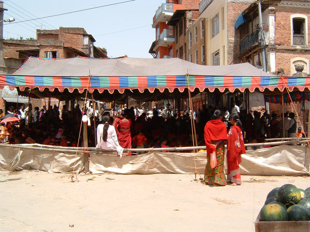 TreeMarryingCeremony2