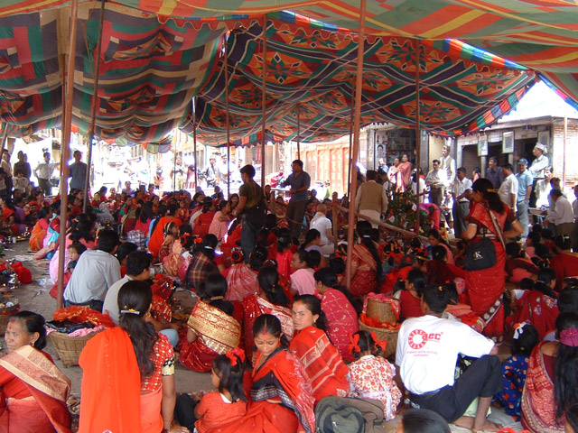 TreeMarryingCeremony3