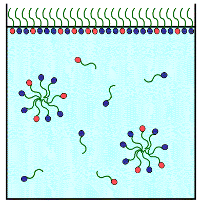 Solution Schematic