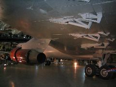 IMG_0894.JPG