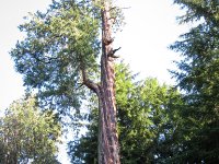 IMG 0493