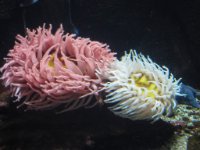 IMG 0548 2