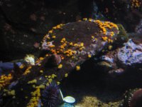 IMG 0555 2