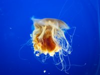 IMG 0574 2