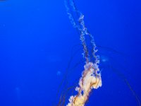 IMG 0576 2