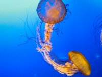 IMG 0577 2