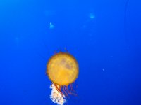 IMG 0578 2