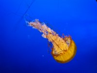 IMG 0579 2