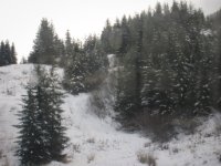 IMG 0608 2