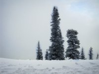 IMG 0631 2