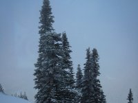 IMG 0640 2