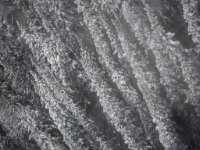 IMG 0652 2
