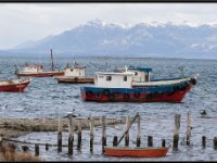 Punta Arenas, Puerto Williams