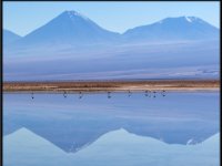 Atacama Desert17
