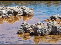 Atacama Desert18