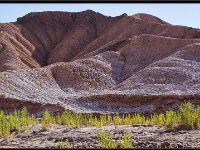 Atacama Desert4