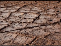 Atacama Desert8