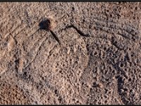 Atacama Desert9