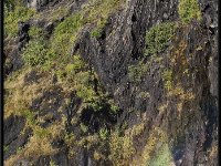 Lago Grey 20160317 0380
