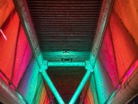 IMG 3127
