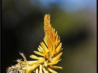 Nature2