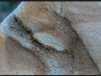 Nature5