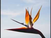 Nature6