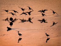 20171209 3433a-enhanced 2098x1600 U 100 Original ratio gainMap