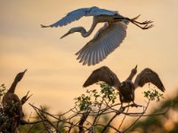 20180211 4732-enhanced 1600x1256 U 100 Original ratio gainMap