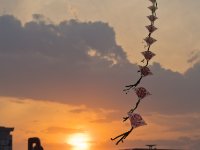 A29A0824-Enhanced-NR 1920x2630 U 90 Original ratio : Web Sharp: Original ratio