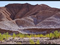 Atacama Desert4