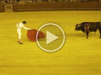 Bullfight2