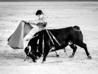 Bullfight BW