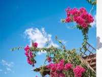 CRW 2663 Original%20ratio 1056x1600 U 100-enhanced 1920x2886 U 80 Original ratio