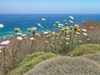 DSCN7503-enhanced 1600x1200 U 100 Long Edge gainMap