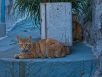 panel4 5d-enhanced 1920x1435 U 80 Original ratio