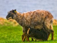  MG 0089-enhanced 2279x1600 U 100 Original ratio gainMap