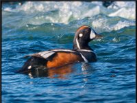  MG 0534-enhanced (1) 2090x1600 U 100 Original ratio gainMap