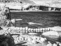 LANE1066-Enhanced-NR