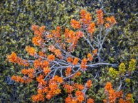 enhanced_jfx11641845298422348357