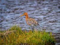  MG 3578-Enhanced-NR-enhanced 1920x1310 U 80 Original ratio