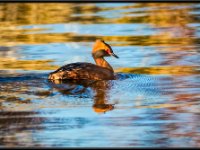 panel11 7-enhanced (1) 1920x1257 U 80 Original ratio